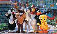 Six Flags New Jersey